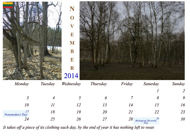 kalendorius2014lapkritis